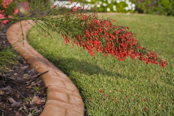 Brick Edging in Fort Walton Beach